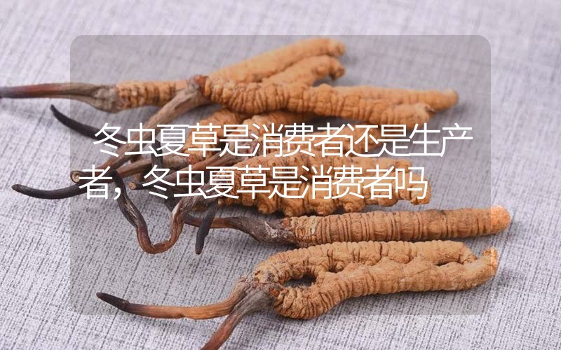 貧血吃冬蟲(chóng)夏草有效果嗎，貧血虛弱者可以用冬蟲(chóng)夏草嗎？