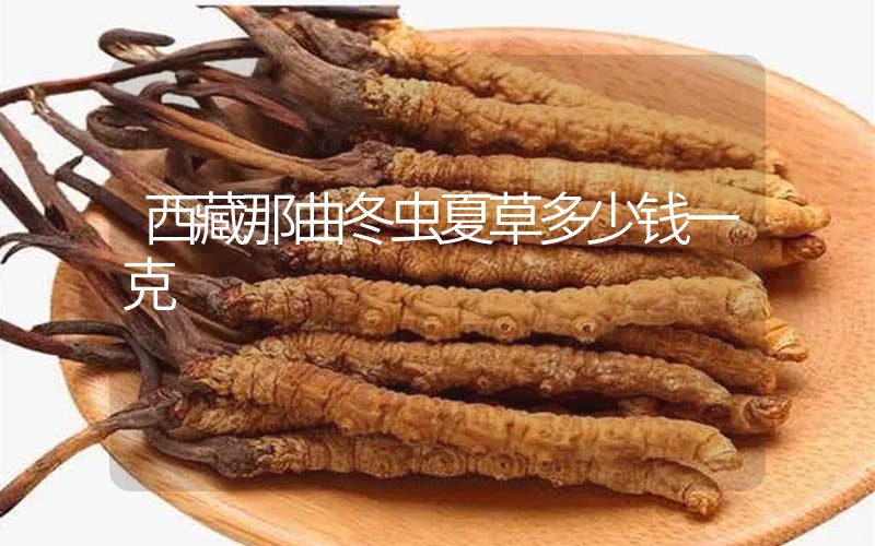 西藏那曲冬蟲夏草多少錢一克？