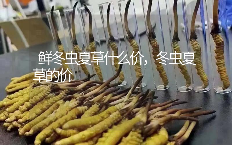 鮮冬蟲夏草什么價(jià)，冬蟲夏草的價(jià)格