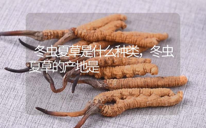 冬蟲(chóng)夏草是什么種類(lèi)，冬蟲(chóng)夏草的產(chǎn)地是