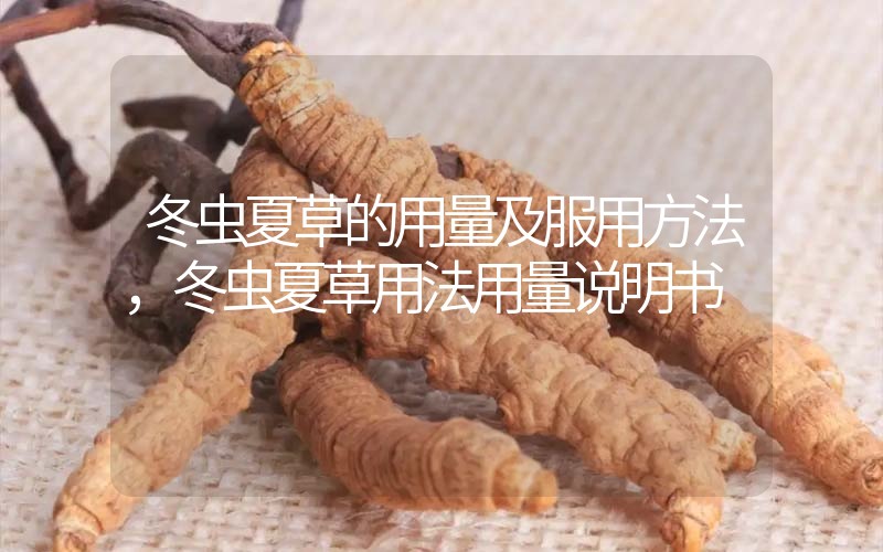 冬蟲夏草的用量及服用方法，冬蟲夏草用法用量