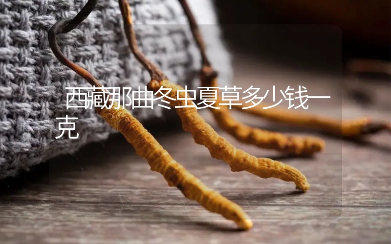 西藏那曲冬蟲夏草多少錢一克？
