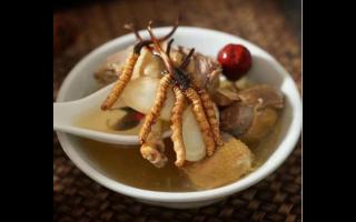 冬蟲(chóng)夏草鴿子湯怎么做？