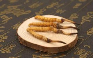 冬蟲(chóng)夏草如何保存好呢，來(lái)看這招保鮮的方法！