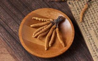 新手應(yīng)如何辨別真假冬蟲(chóng)夏草？