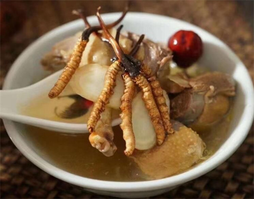 冬蟲夏草可以燉海鯽魚嗎？