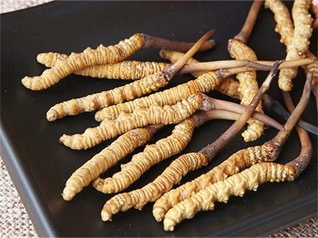 真的冬蟲夏草什么價(jià)格？影響冬蟲夏草價(jià)格波動(dòng)的3個(gè)關(guān)鍵因素