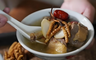 冬蟲夏草搭配有道，滋養(yǎng)肺部效果妙