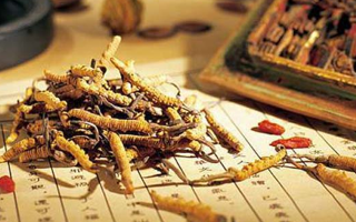 同仁堂健康冬蟲夏草：傳承品質(zhì)，饋贈健康