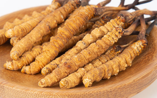 冬蟲夏草，真有那么大效果？
