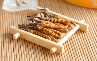 冬蟲(chóng)夏草可以干燥存放嗎？科學(xué)儲(chǔ)存方法與注意事項(xiàng)
