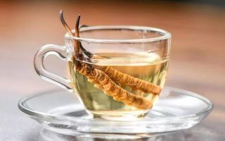 一瓶酒泡多少冬蟲夏草？科學(xué)搭配有講究