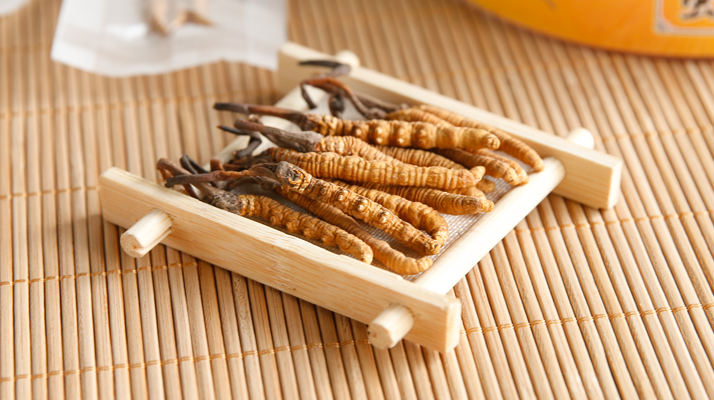 這些藥材形似冬蟲夏草，辨別要點(diǎn)需牢記