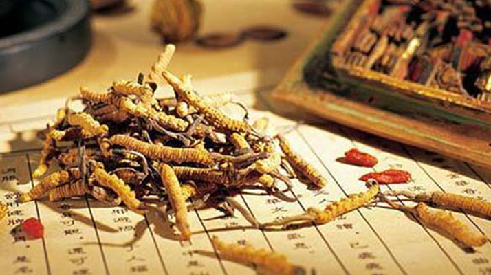 冬蟲(chóng)夏草購(gòu)買指南：何處覓真品