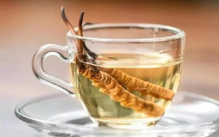 十根冬蟲(chóng)夏草泡多少酒？科學(xué)配比與實(shí)操指南