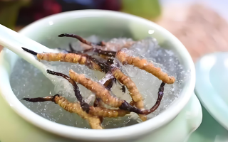 十根冬蟲(chóng)夏草能泡幾斤酒？泡酒比例與細(xì)節(jié)指南