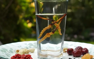人參配蟲(chóng)草泡酒，泡多久才好喝？咱跟你說(shuō)實(shí)在的